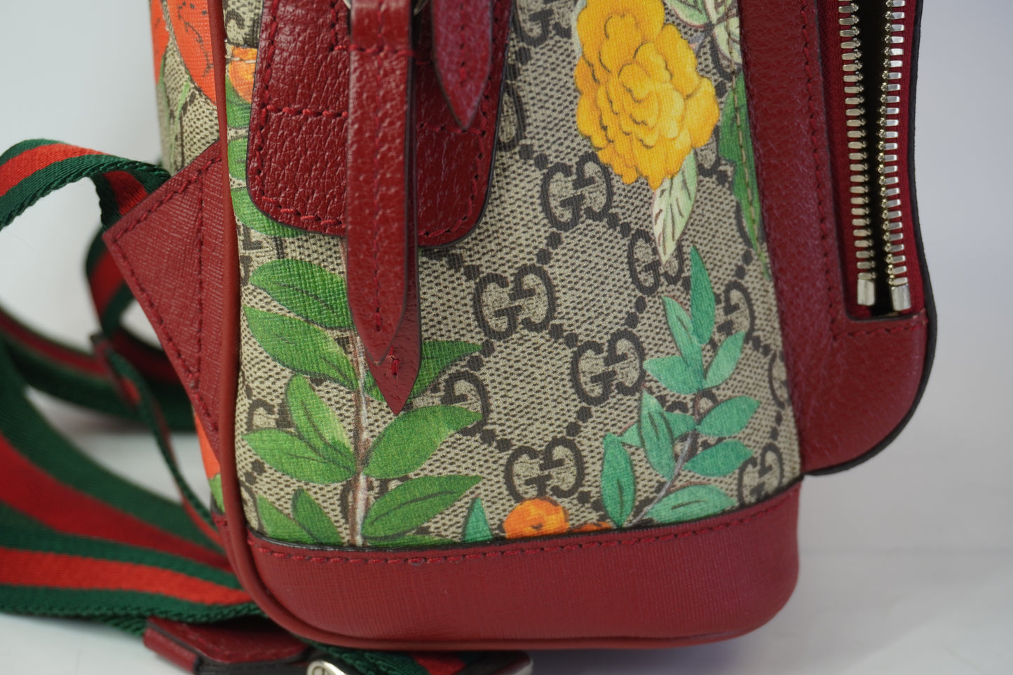 Gucci Backpack SHW