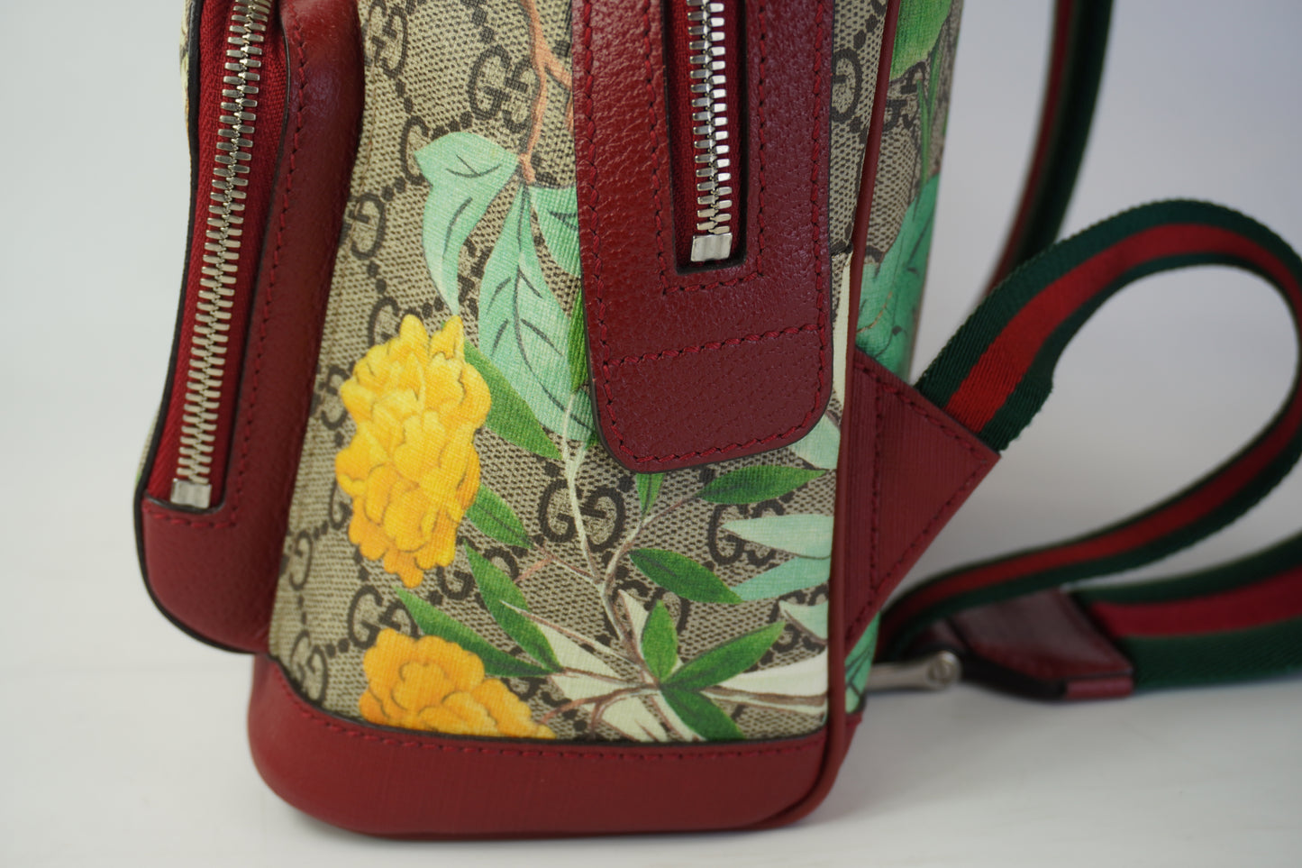 Gucci Backpack SHW