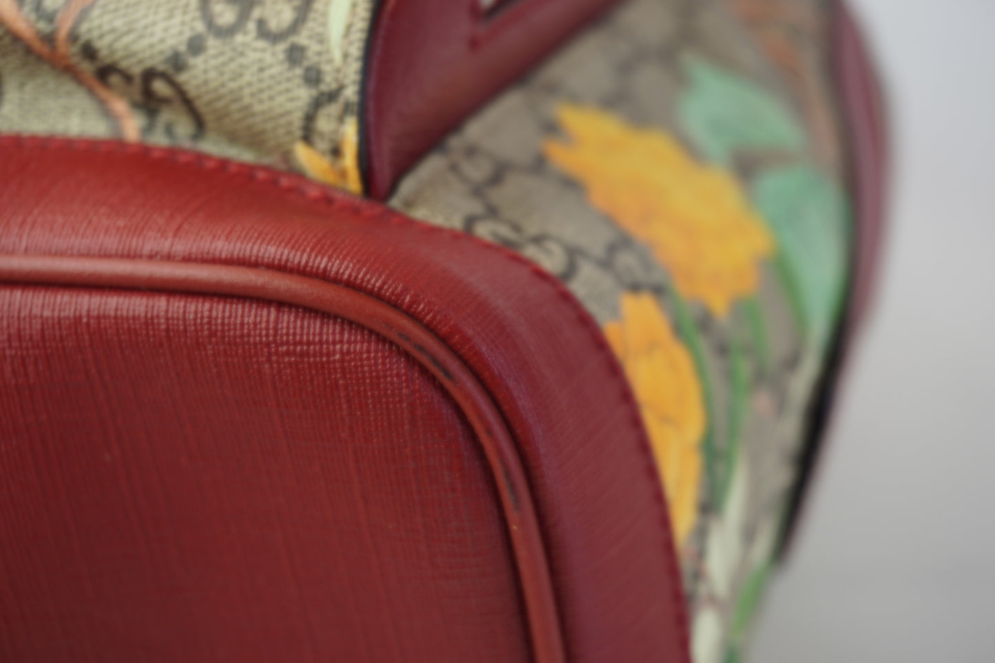 Gucci Backpack SHW
