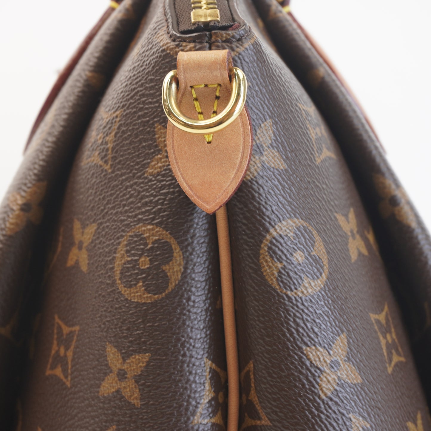 Louis Vuitton	Rivoli PM Mono
