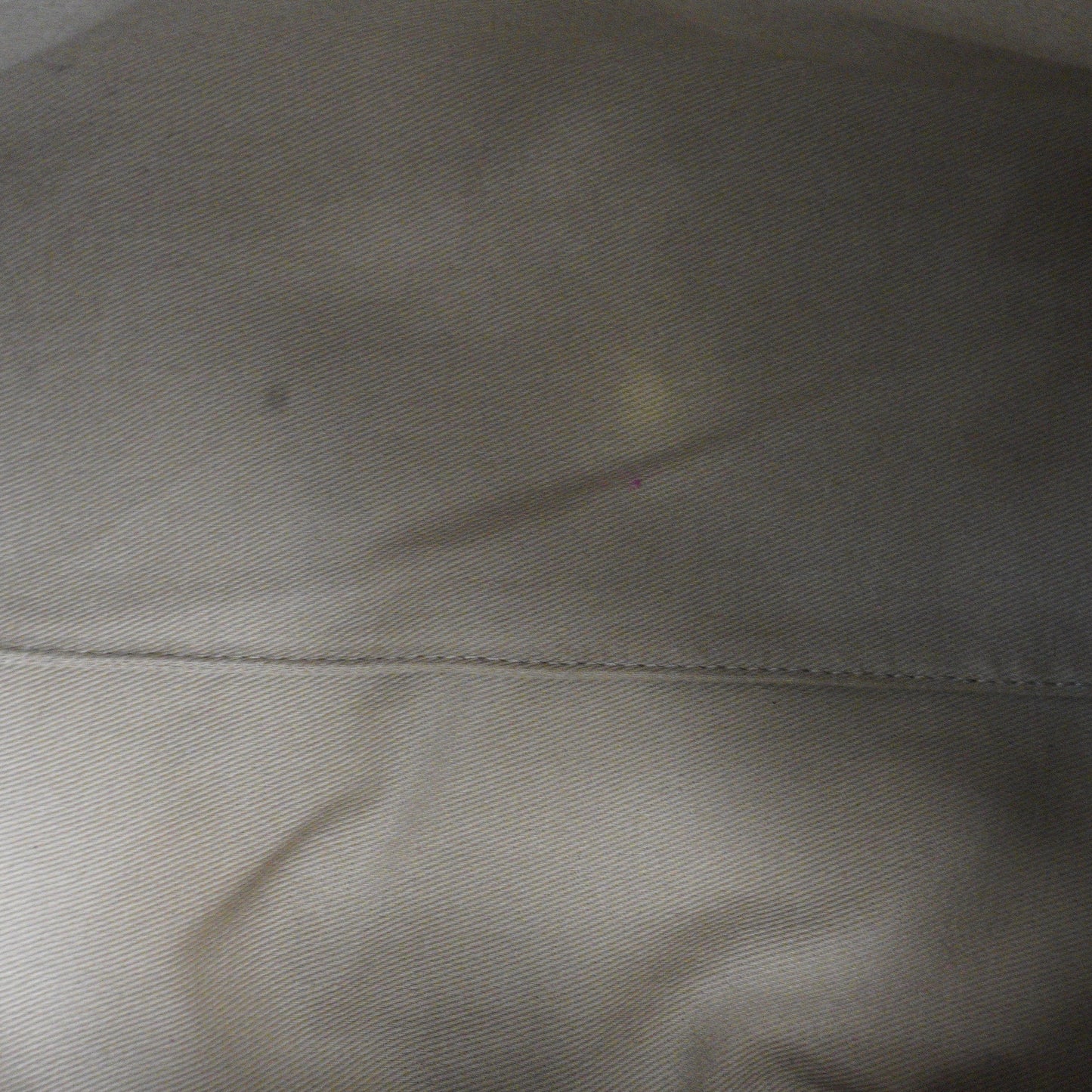 Polene Neuf Beige Medium GHW