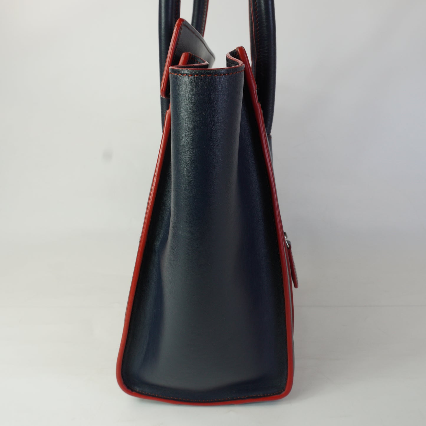 Celine Lugage Bicolor