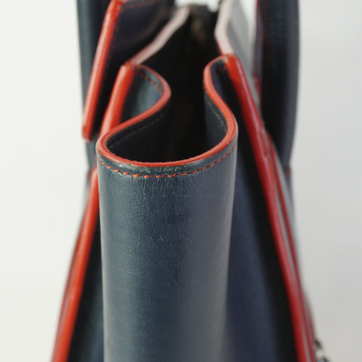Celine Lugage Bicolor