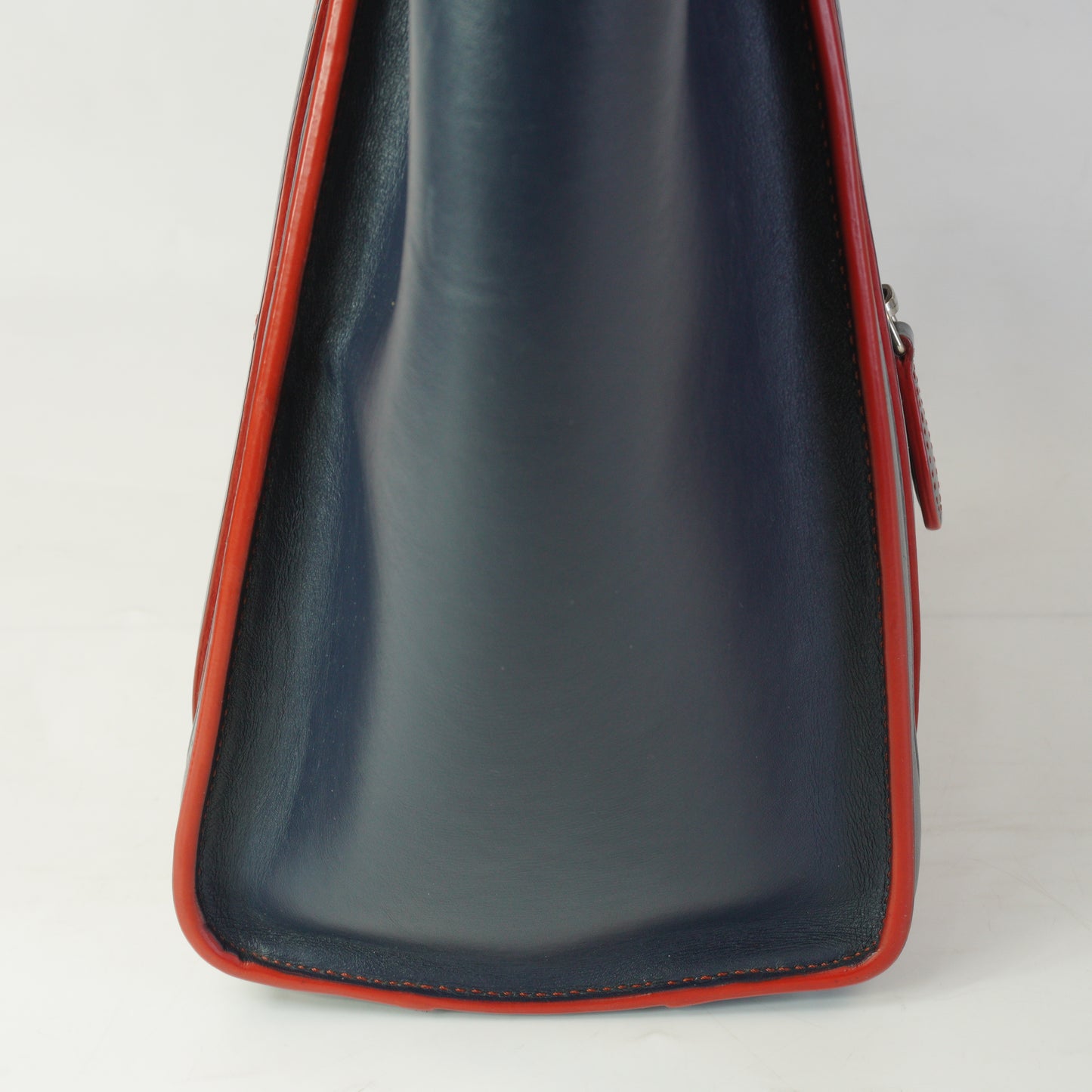 Celine Lugage Bicolor