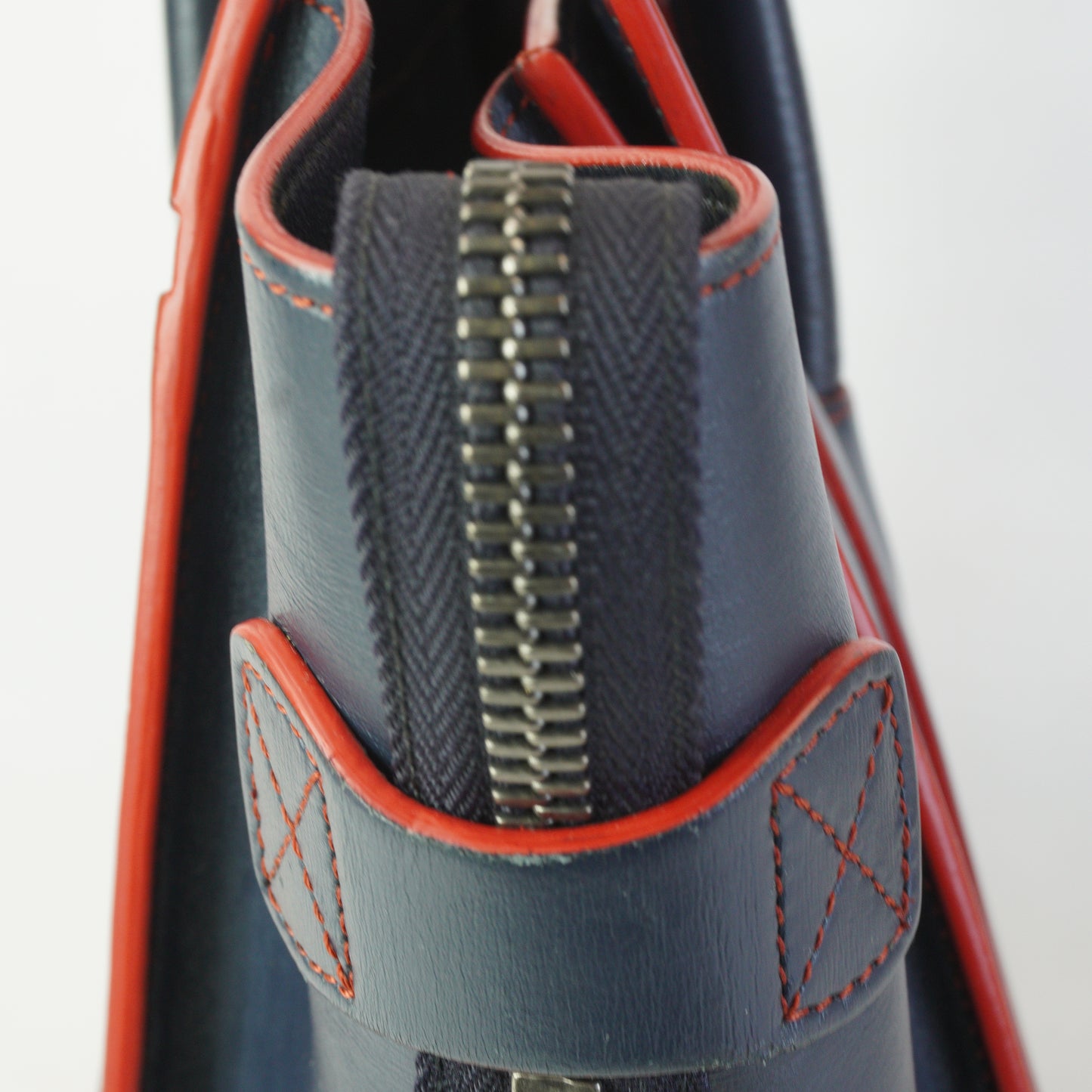 Celine Lugage Bicolor