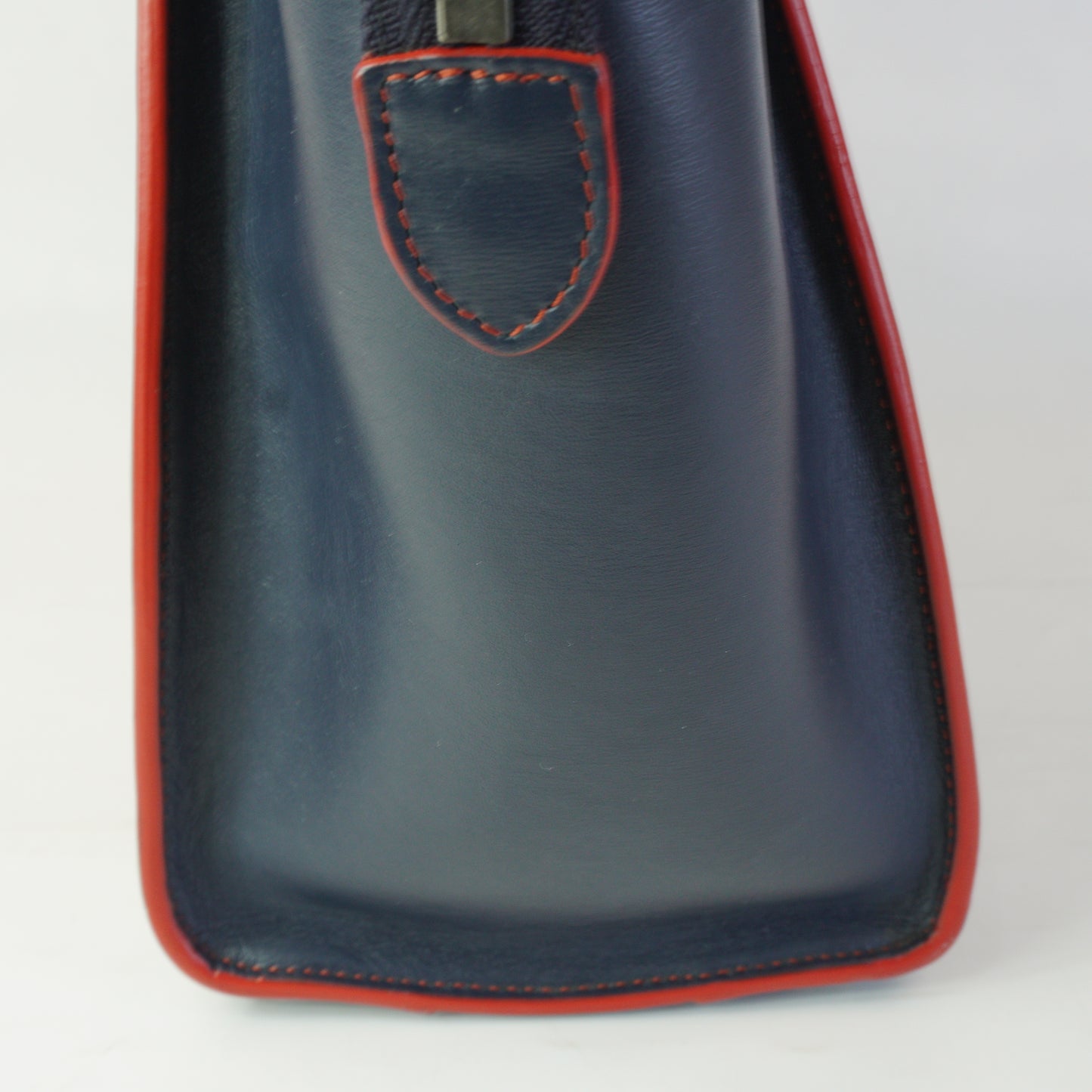 Celine Lugage Bicolor