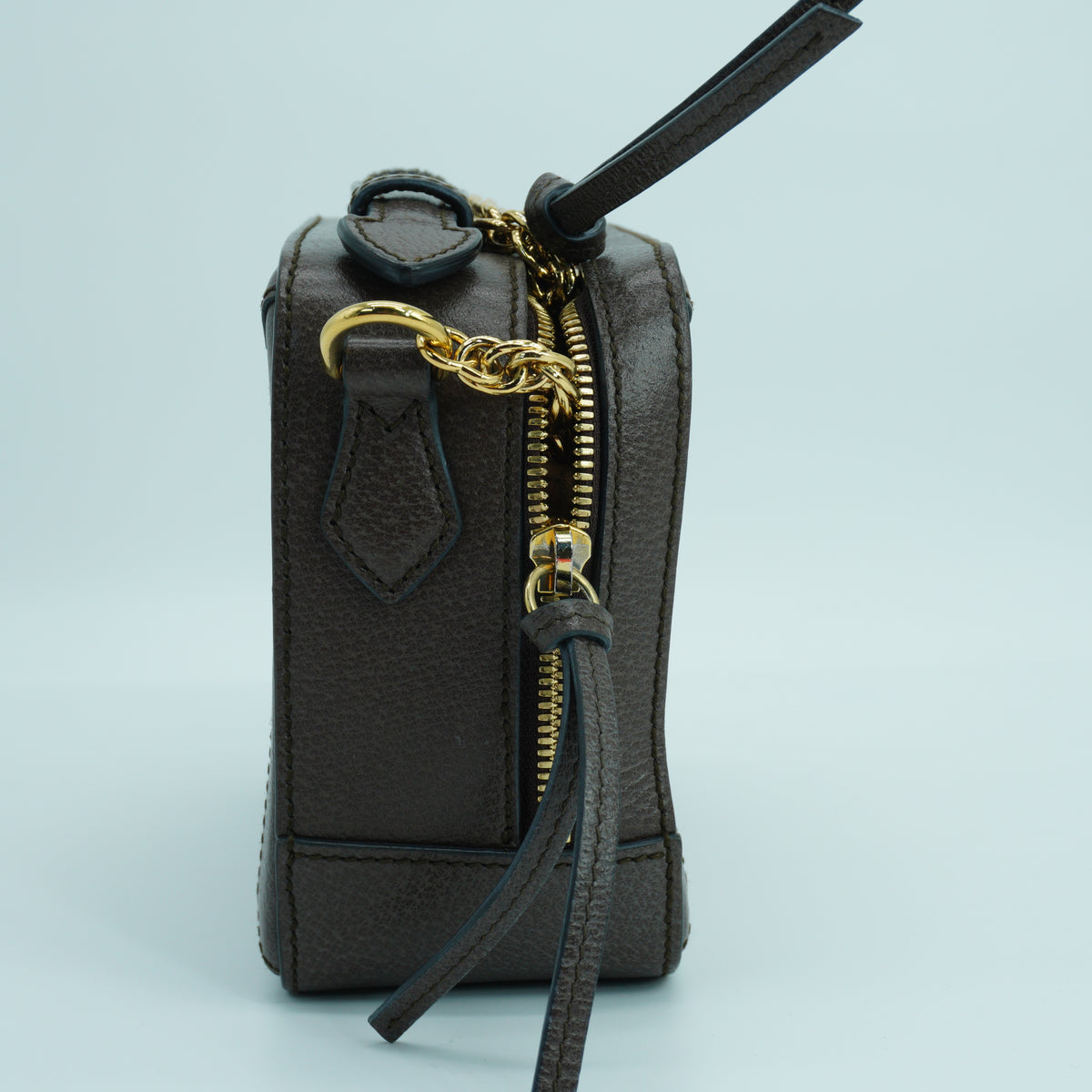 Gucci Ophidia GG Supreme Zip Around Camera bag