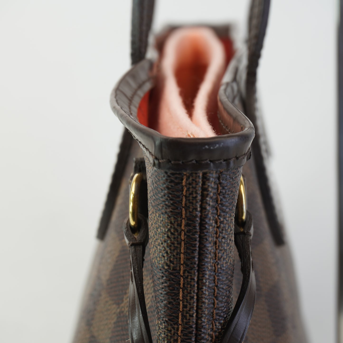 Louis Vuitton	Neverfull PM