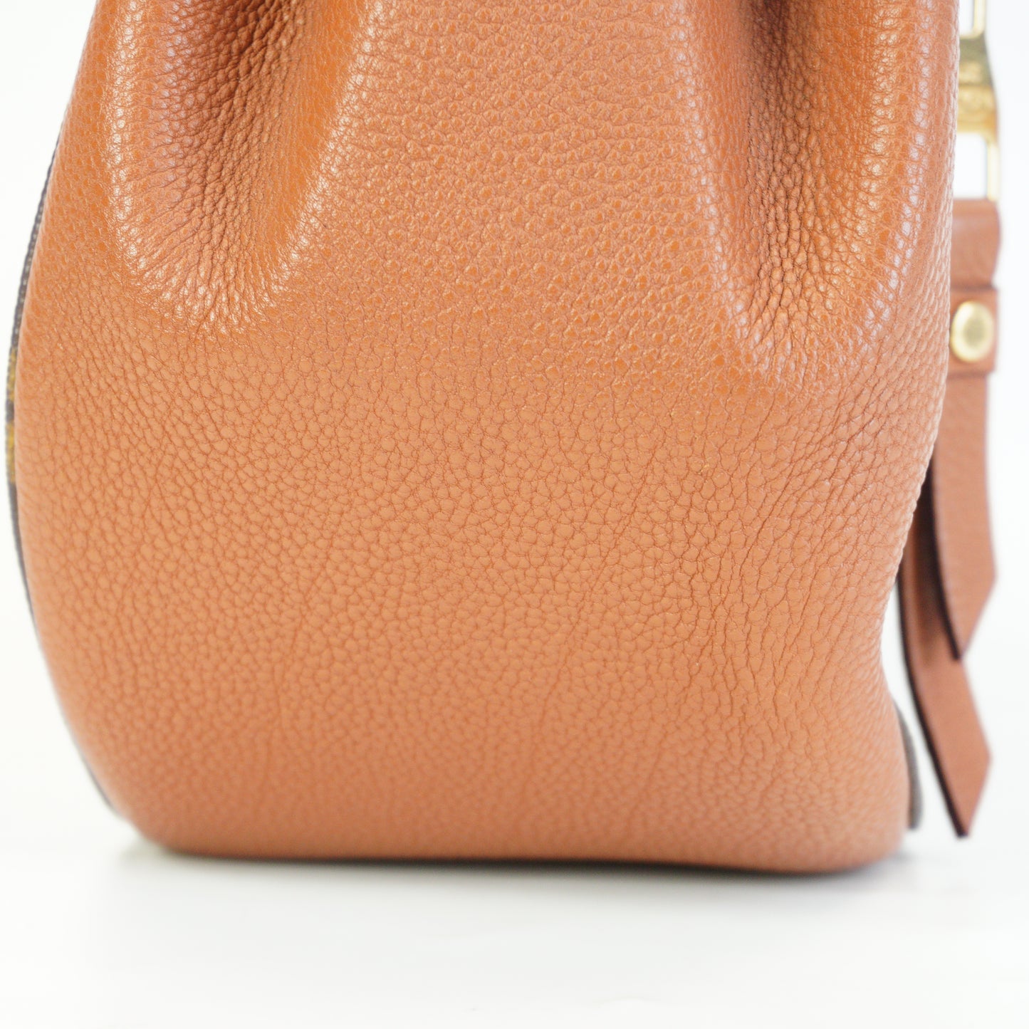 Louis Vuitton	Eden MM Handbag GHW Medium