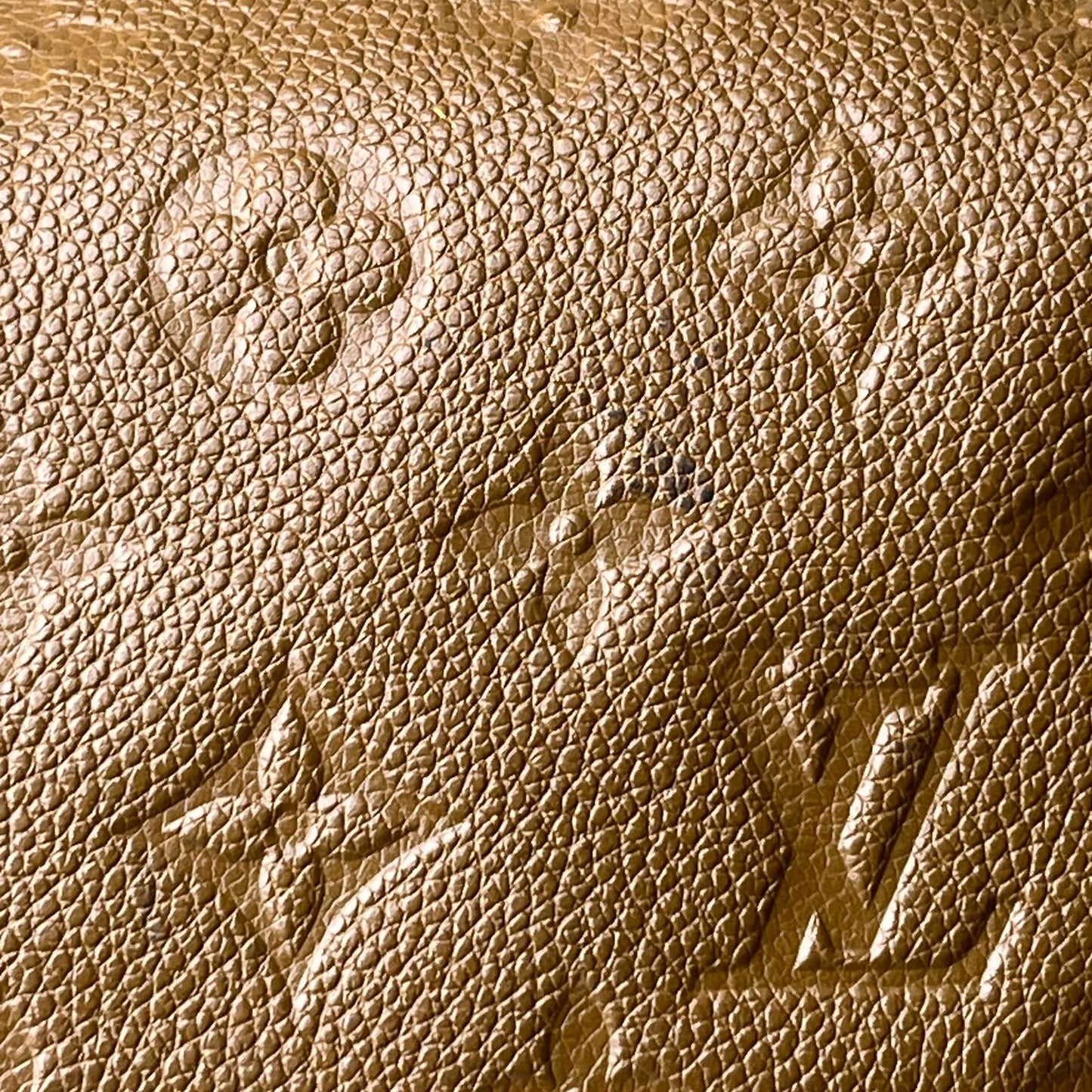 Louis Vuitton	Lumineuse Monogram Empreinte Brown