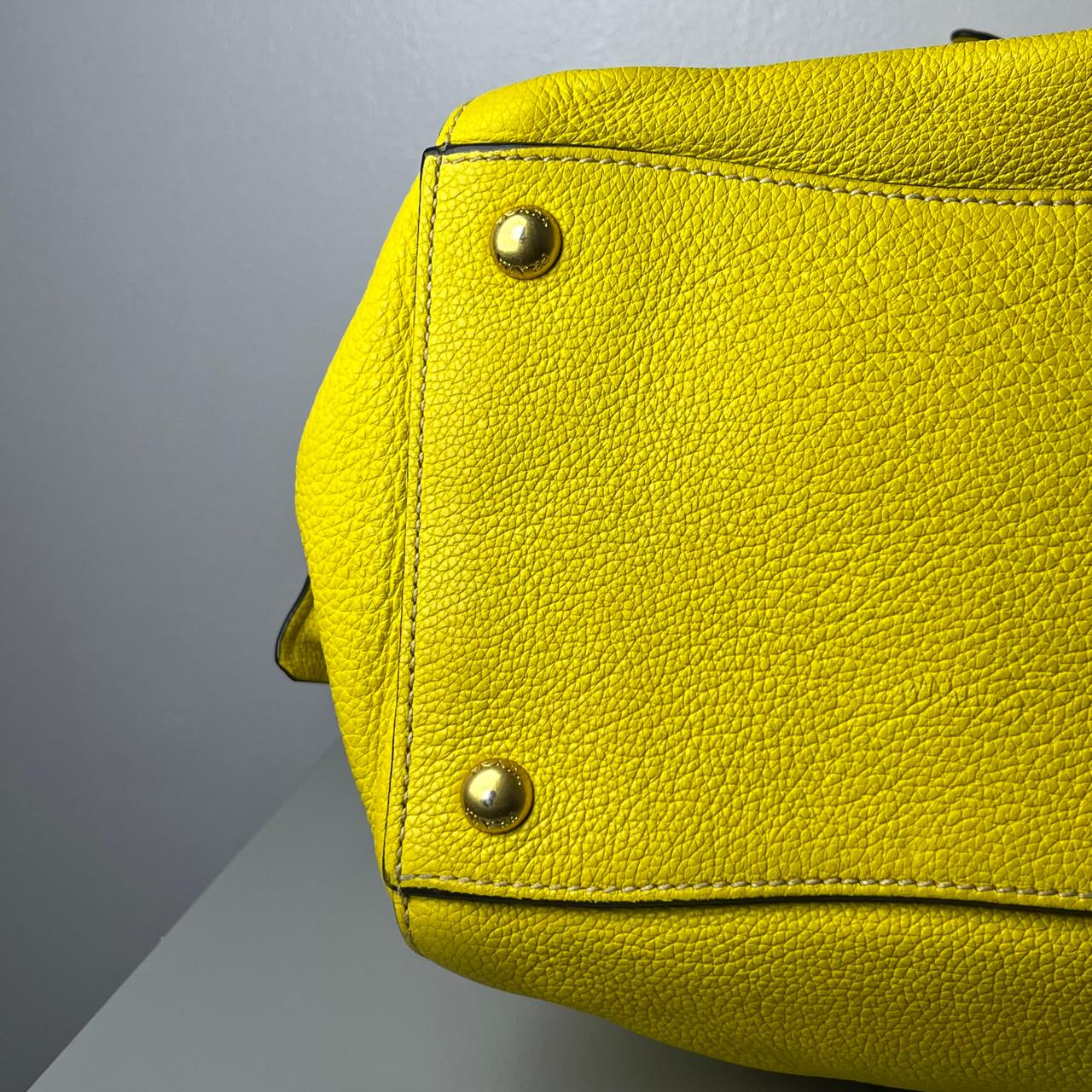Prada Vitello Yellow