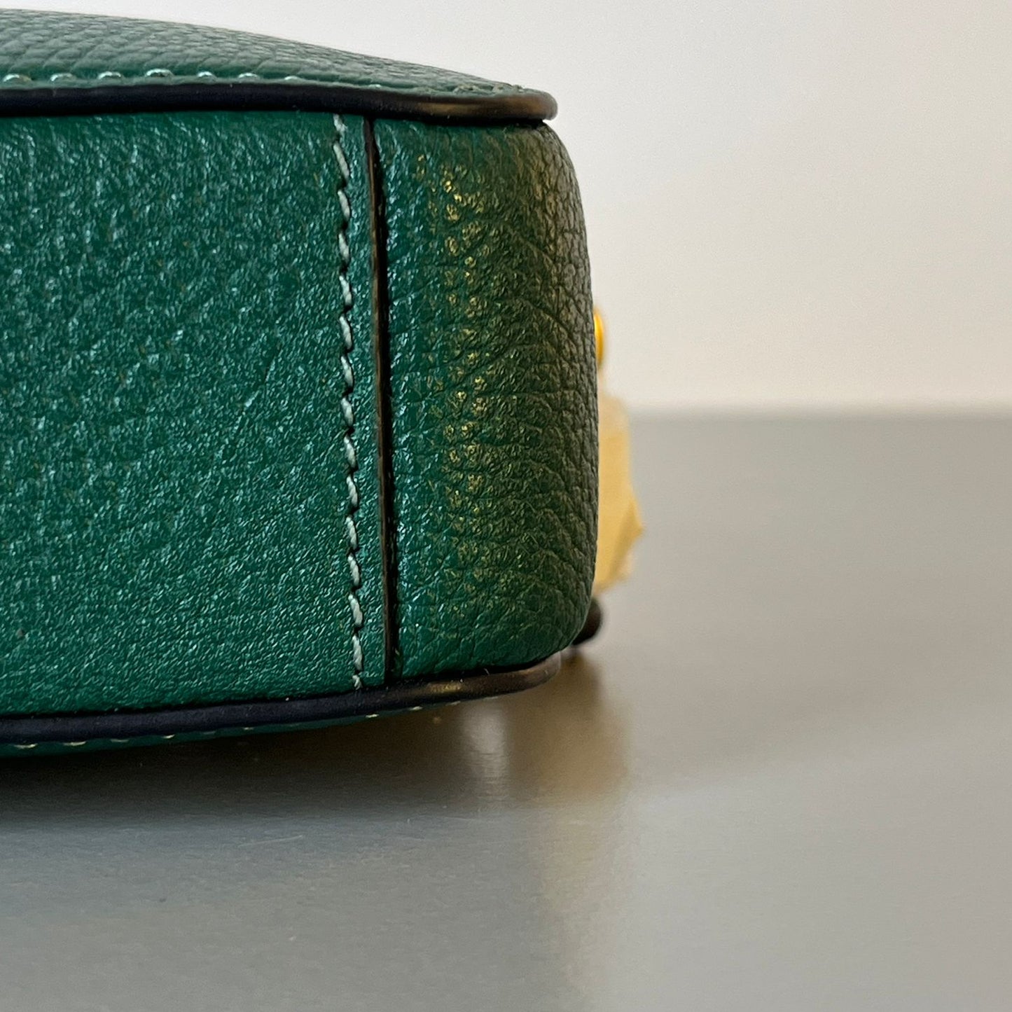 Coach Camera Bag Green Brand New