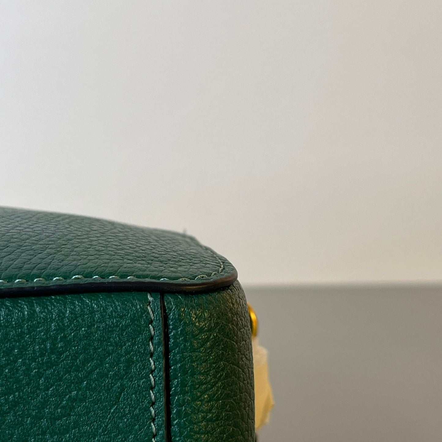 Coach Camera Bag Green Brand New