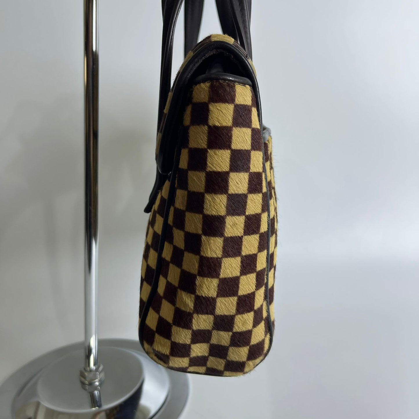 Louis Vuitton	Damier Sauvage Lionne, Pony Hair