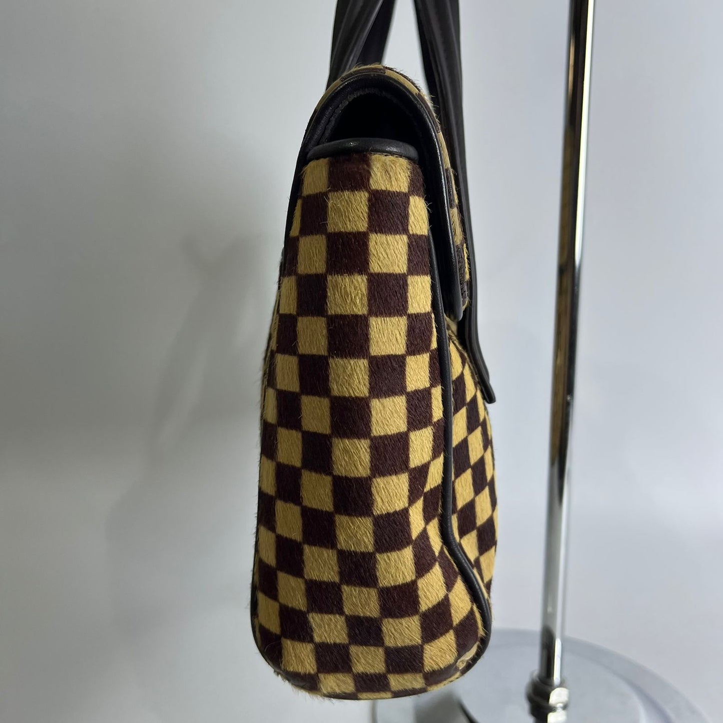 Louis Vuitton	Damier Sauvage Lionne, Pony Hair