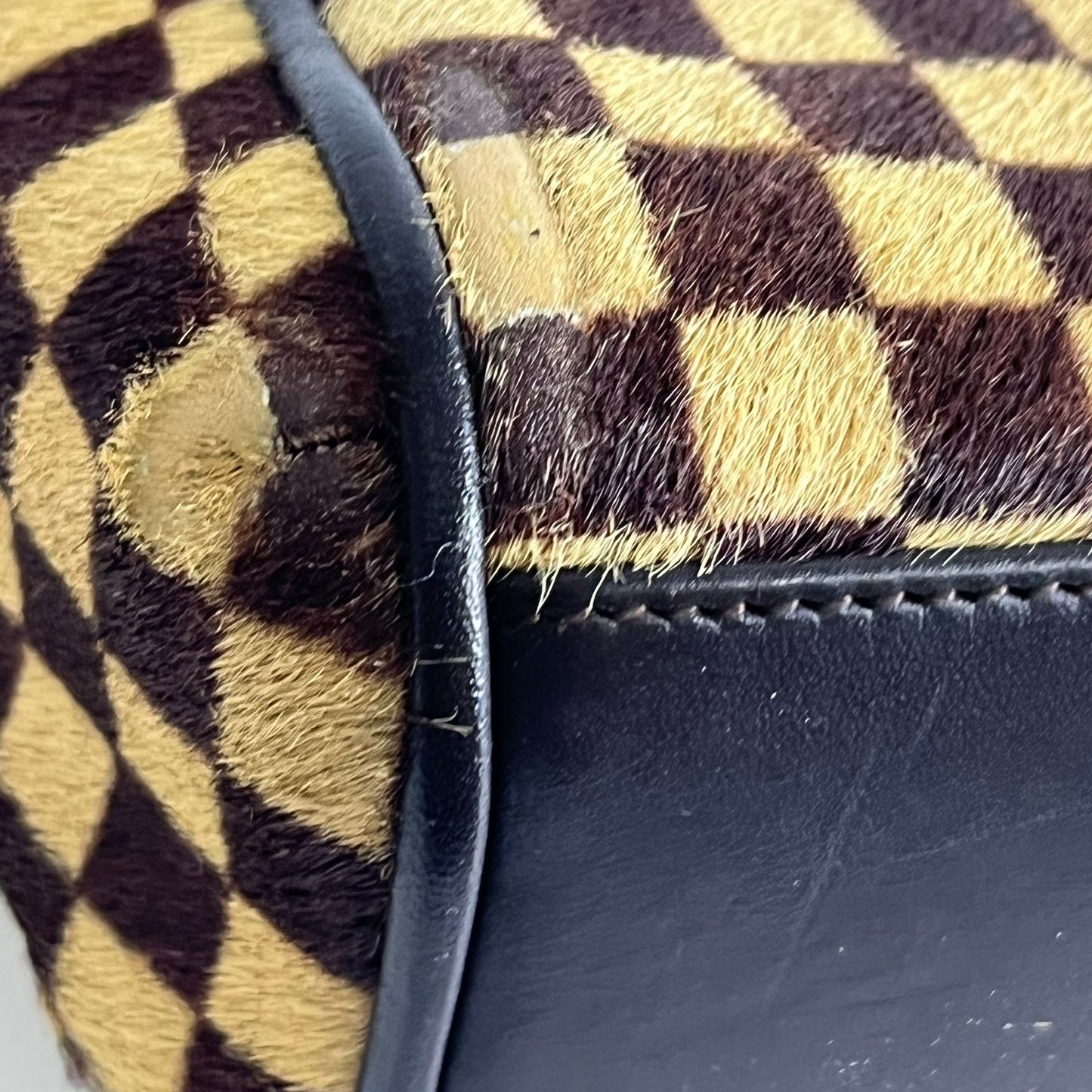 Louis Vuitton	Damier Sauvage Lionne, Pony Hair