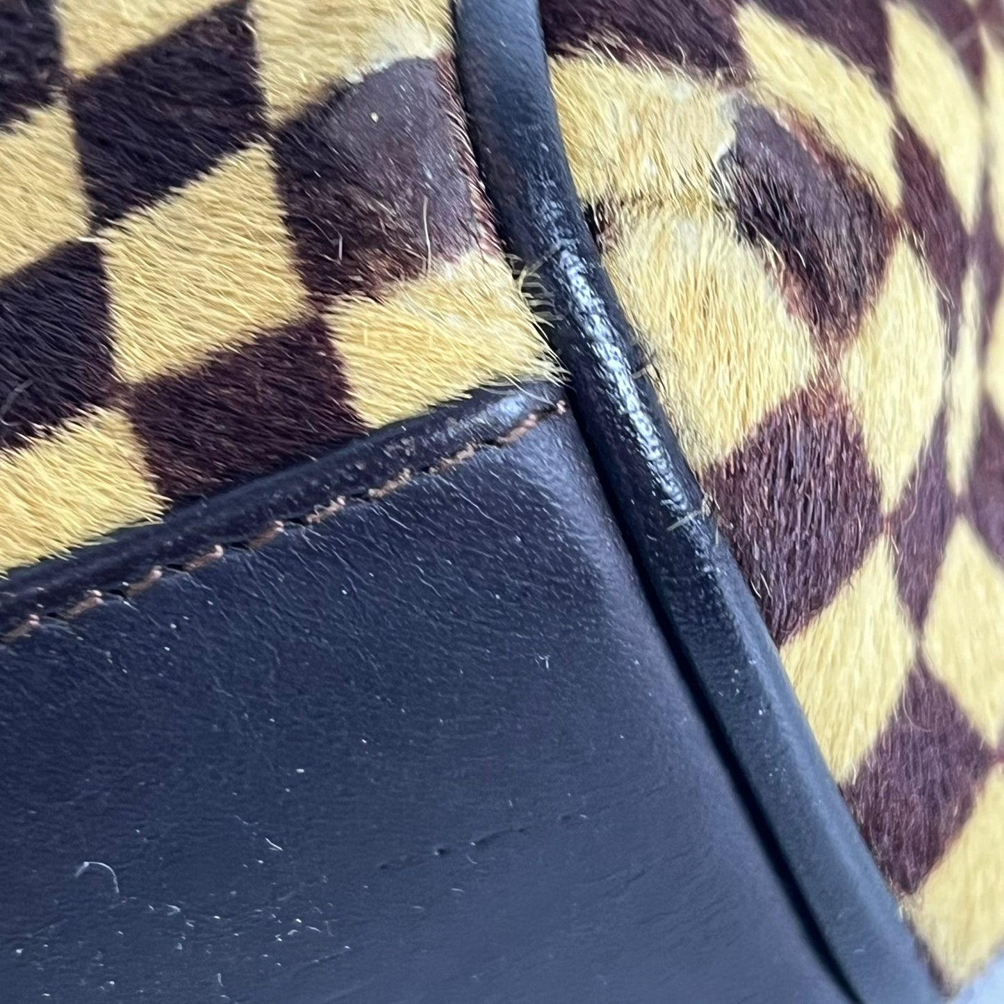 Louis Vuitton	Damier Sauvage Lionne, Pony Hair