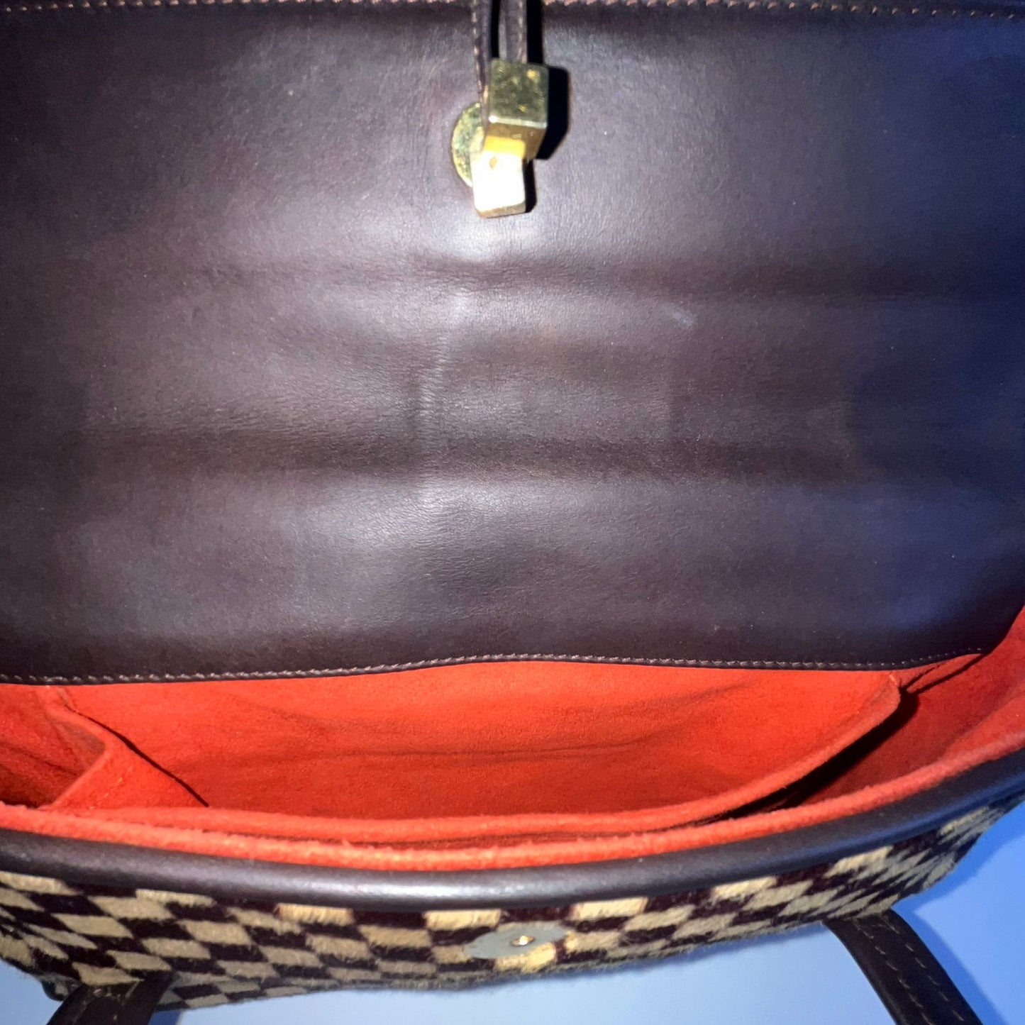 Louis Vuitton	Damier Sauvage Lionne, Pony Hair