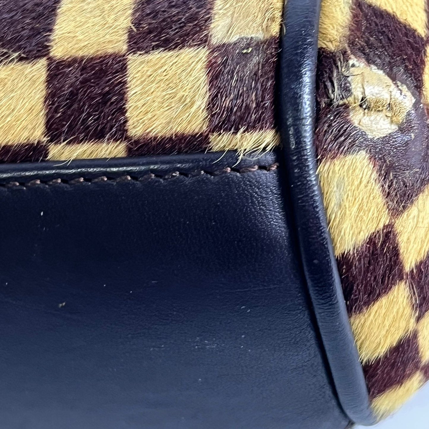 Louis Vuitton	Damier Sauvage Lionne, Pony Hair