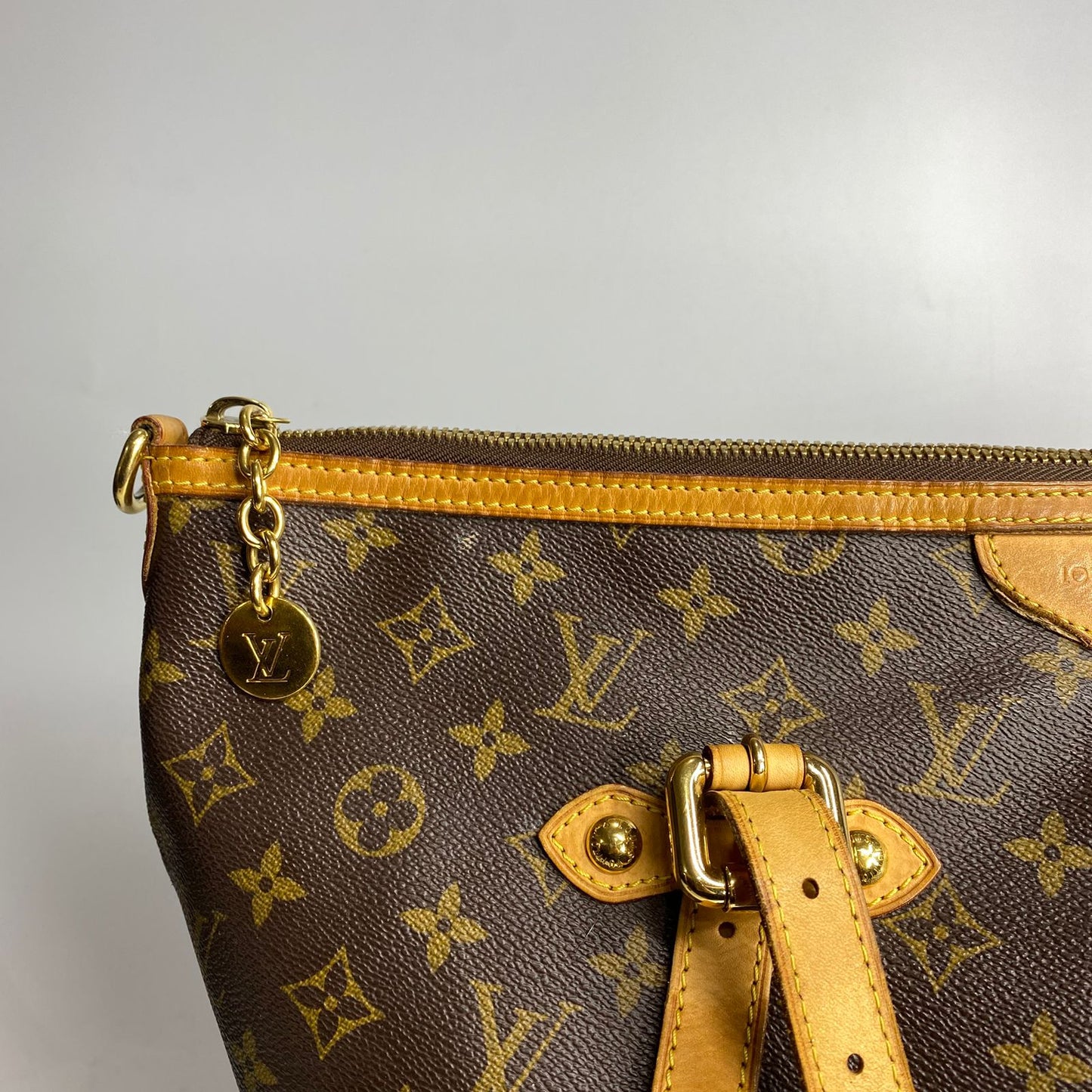 Louis Vuitton Palermo Mono Canvas