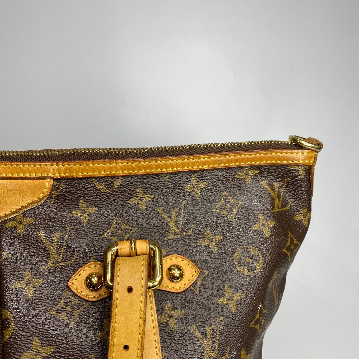 Louis Vuitton Palermo Mono Canvas