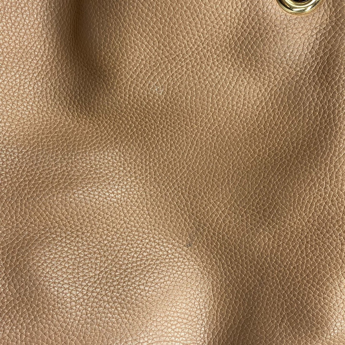 Gucci Soho Beige