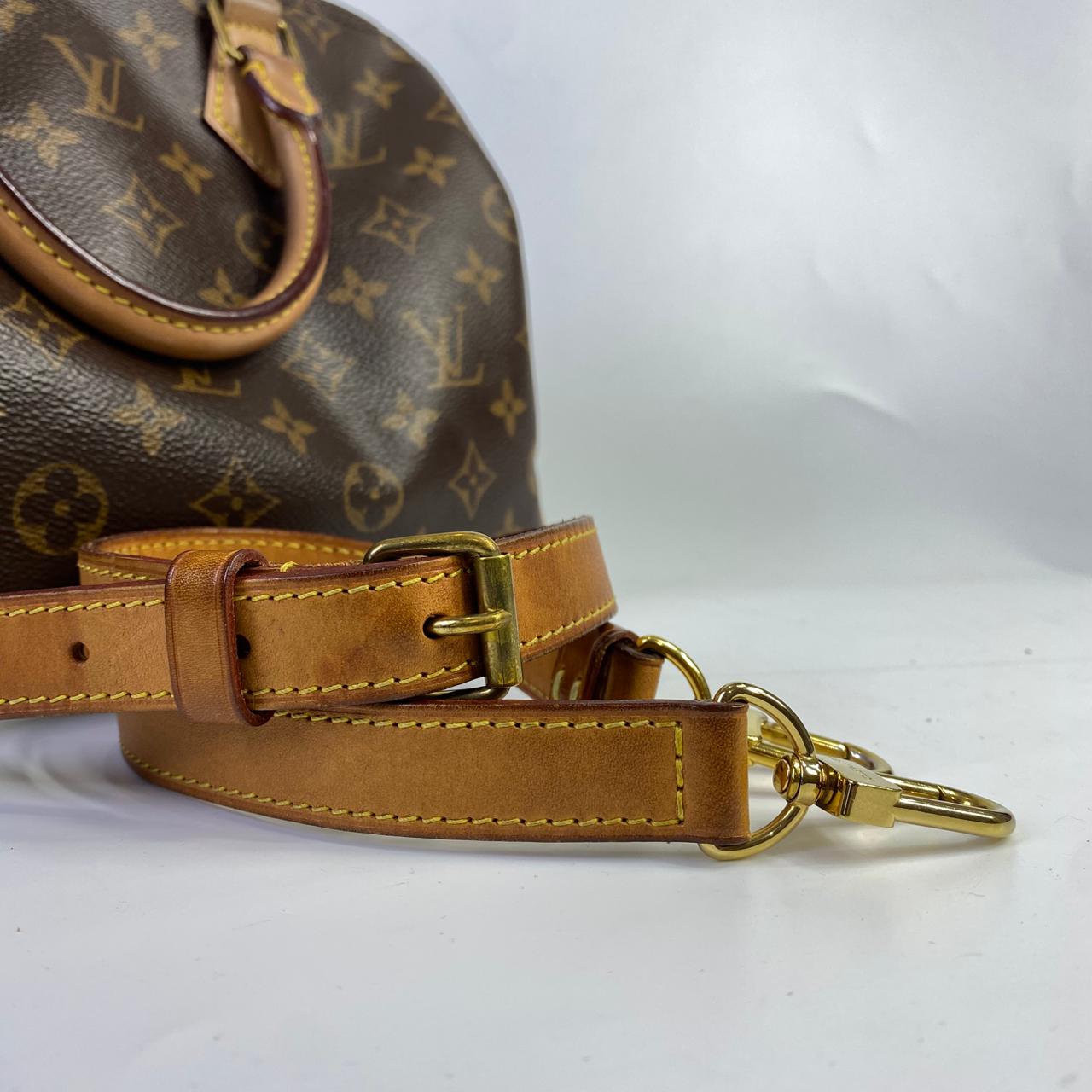 Louis Vuitton	Speedy 25 Monogram