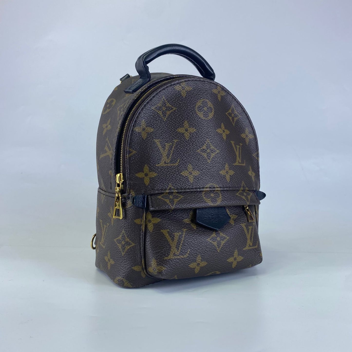 Louis Vuitton	Palm Springs Mini Backpack Monogram