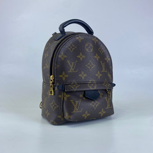Louis Vuitton	Palm Springs Mini Backpack Monogram