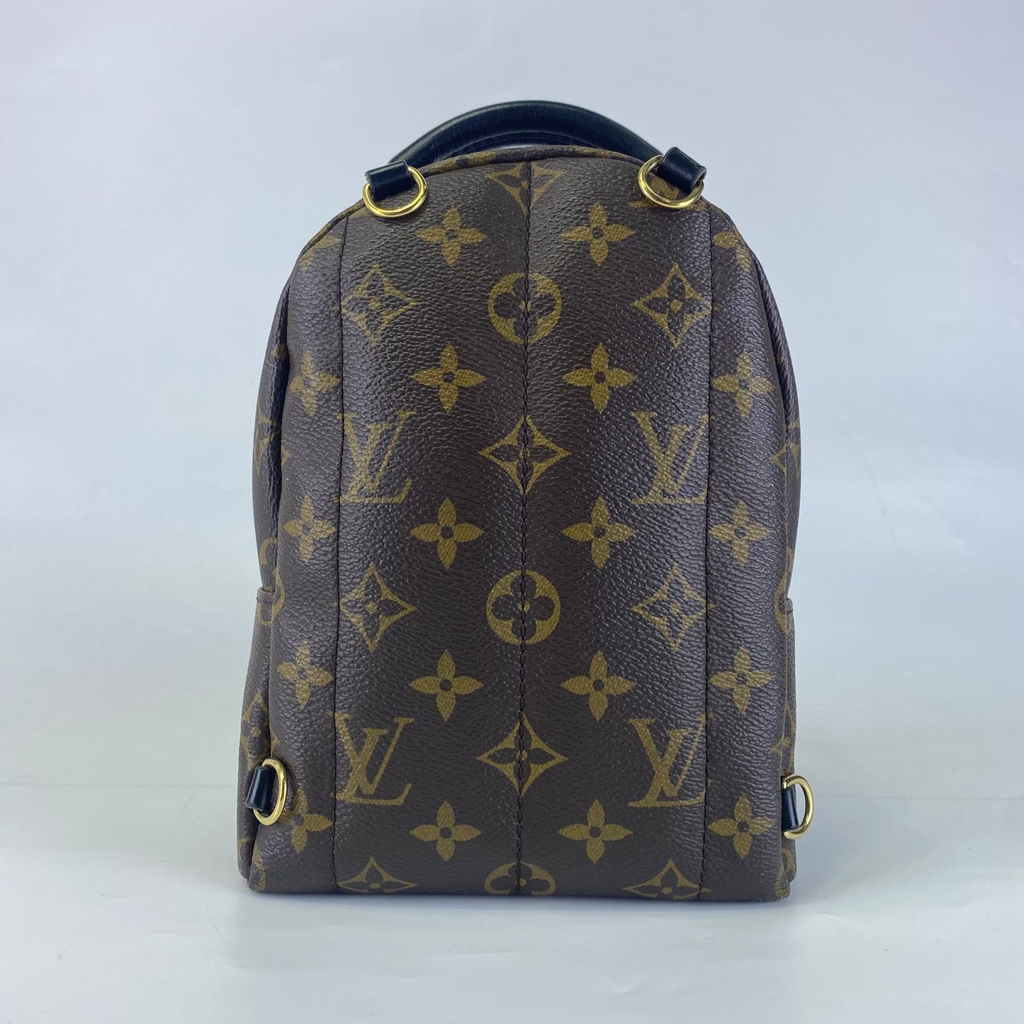 Louis Vuitton	Palm Springs Mini Backpack Monogram