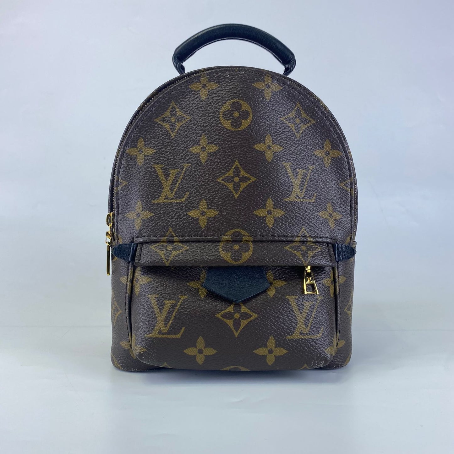 Louis Vuitton	Palm Springs Mini Backpack Monogram