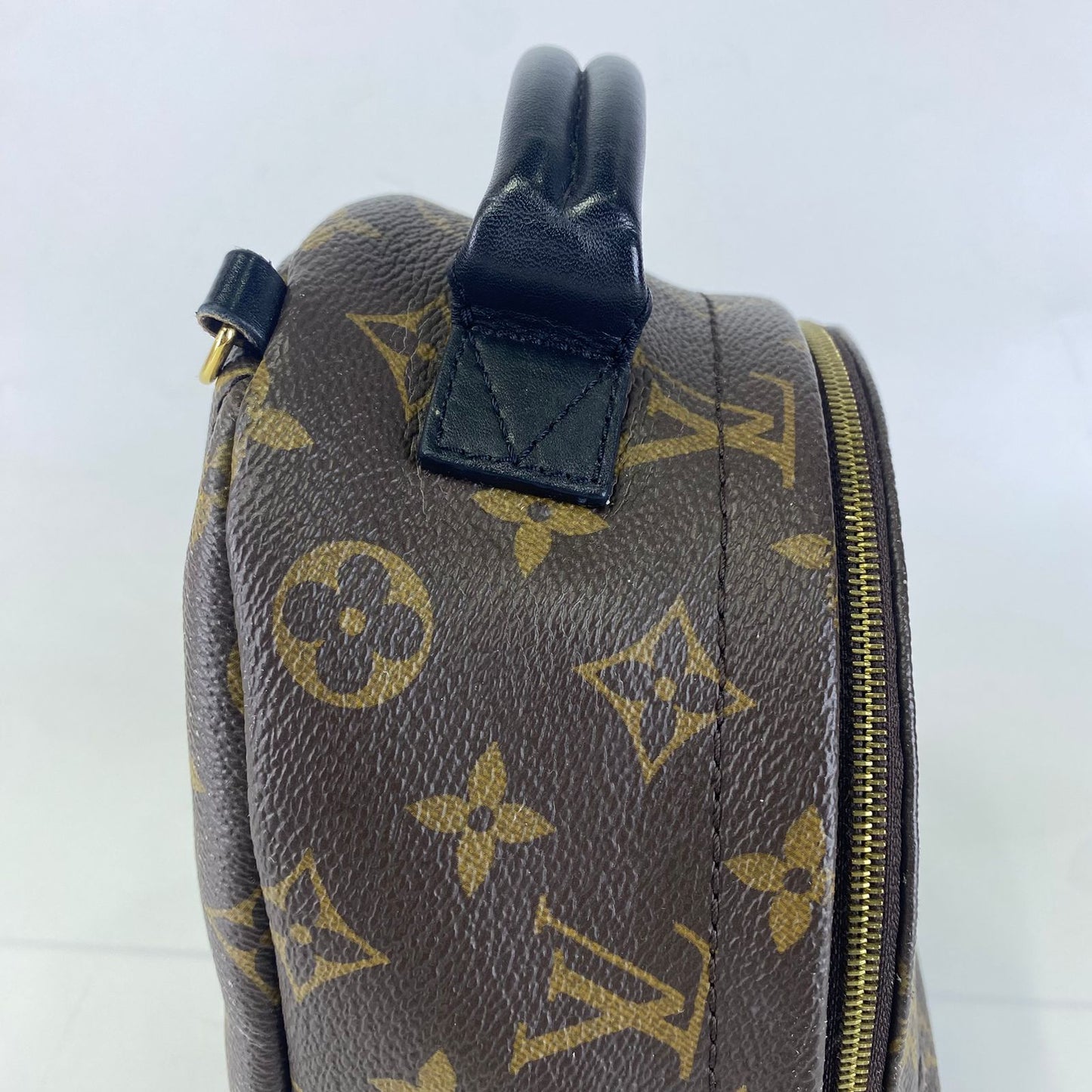 Louis Vuitton	Palm Springs Mini Backpack Monogram