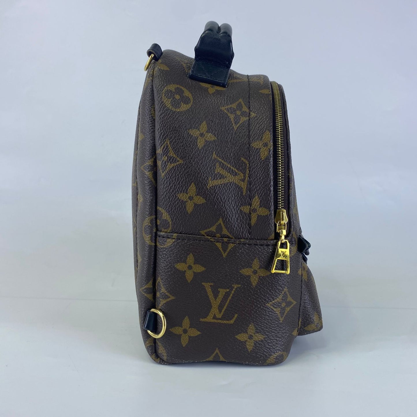 Louis Vuitton	Palm Springs Mini Backpack Monogram