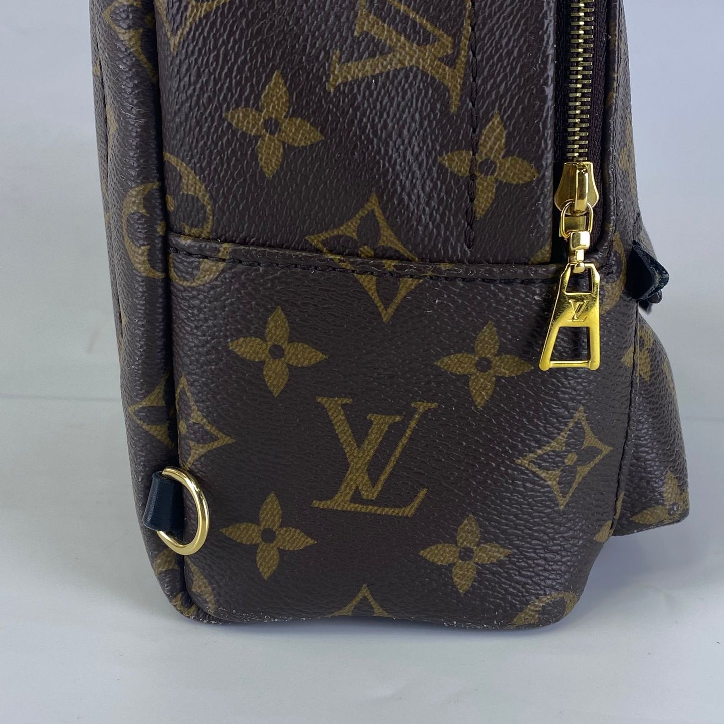Louis Vuitton	Palm Springs Mini Backpack Monogram