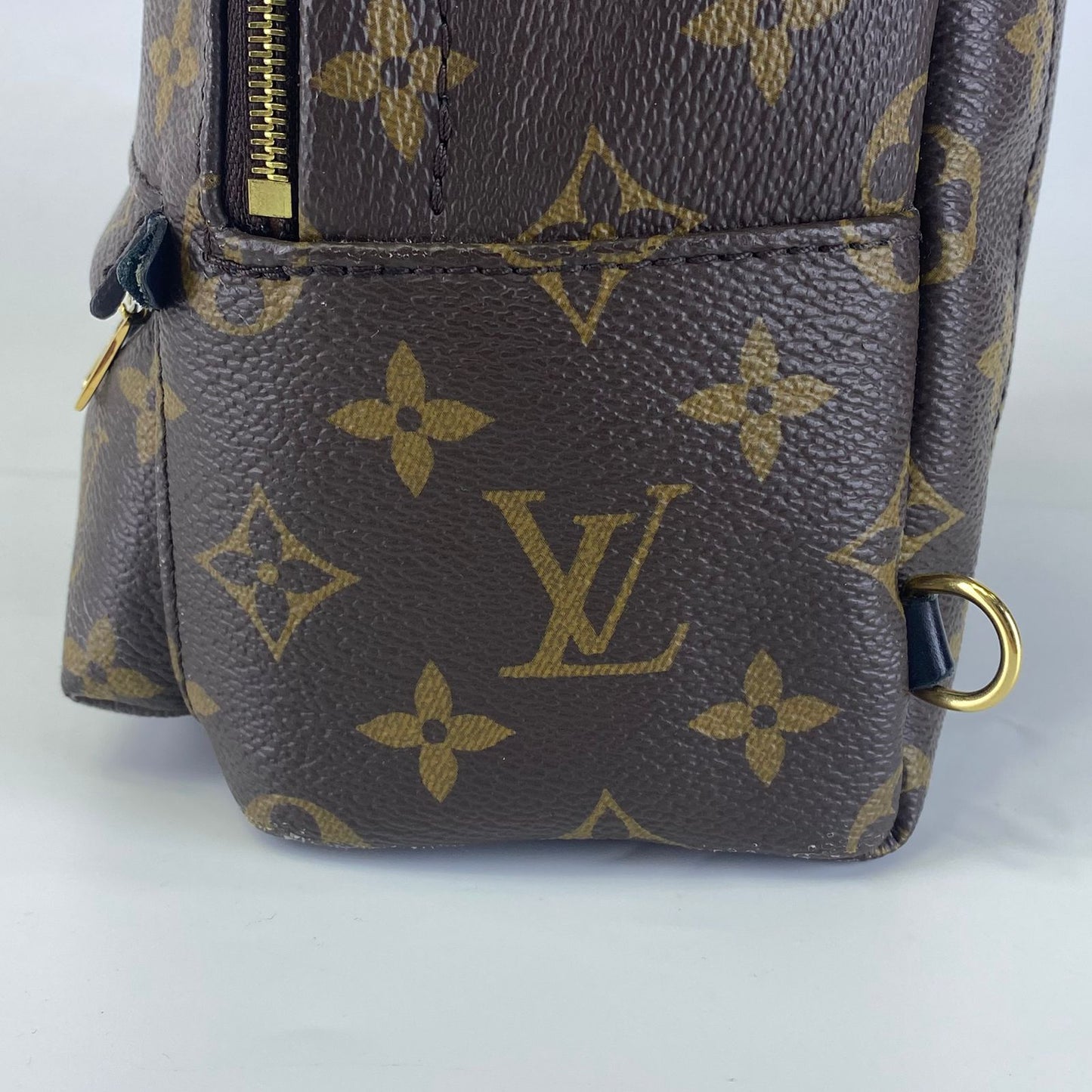 Louis Vuitton	Palm Springs Mini Backpack Monogram