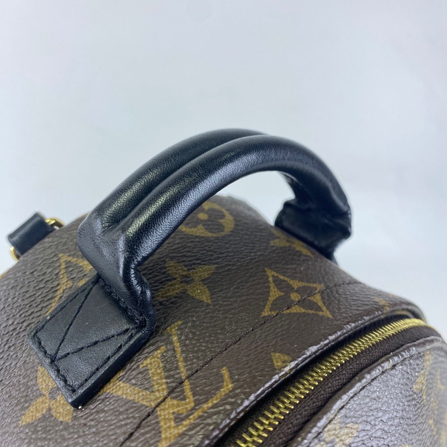 Louis Vuitton	Palm Springs Mini Backpack Monogram