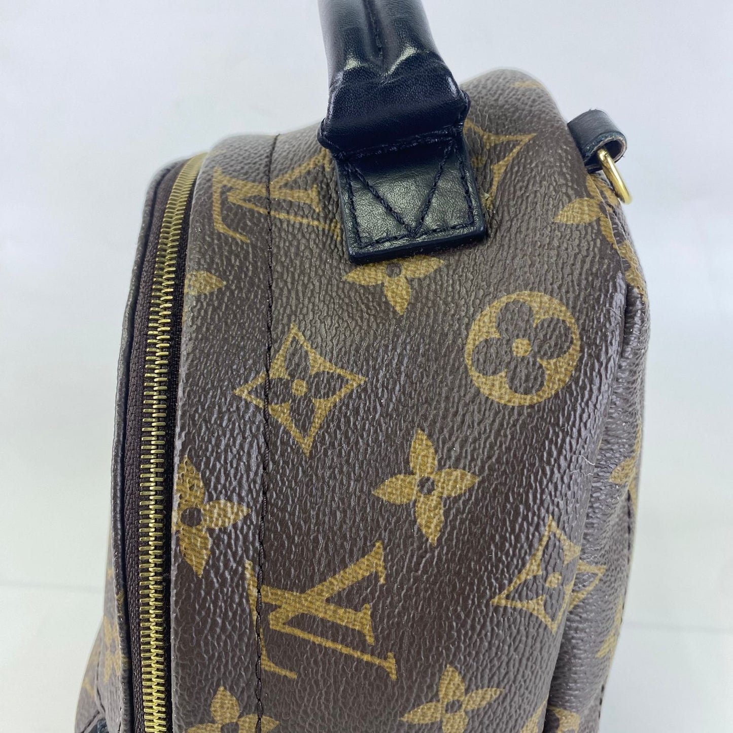 Louis Vuitton	Palm Springs Mini Backpack Monogram