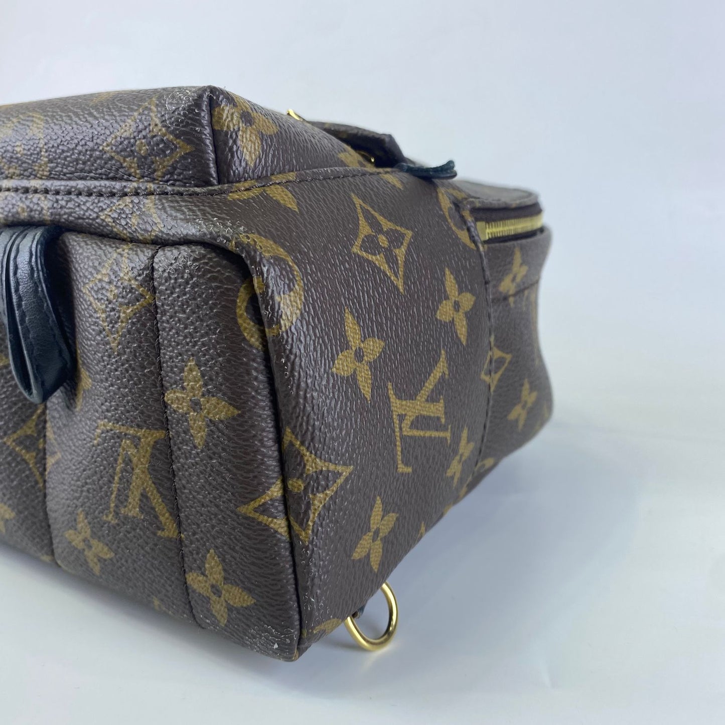 Louis Vuitton	Palm Springs Mini Backpack Monogram