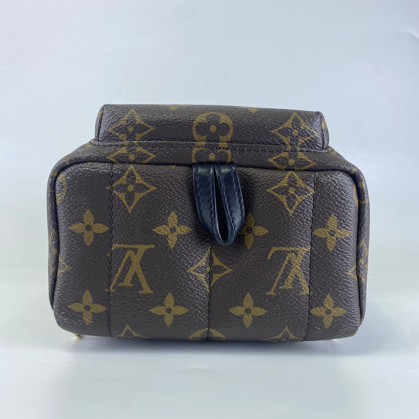 Louis Vuitton	Palm Springs Mini Backpack Monogram
