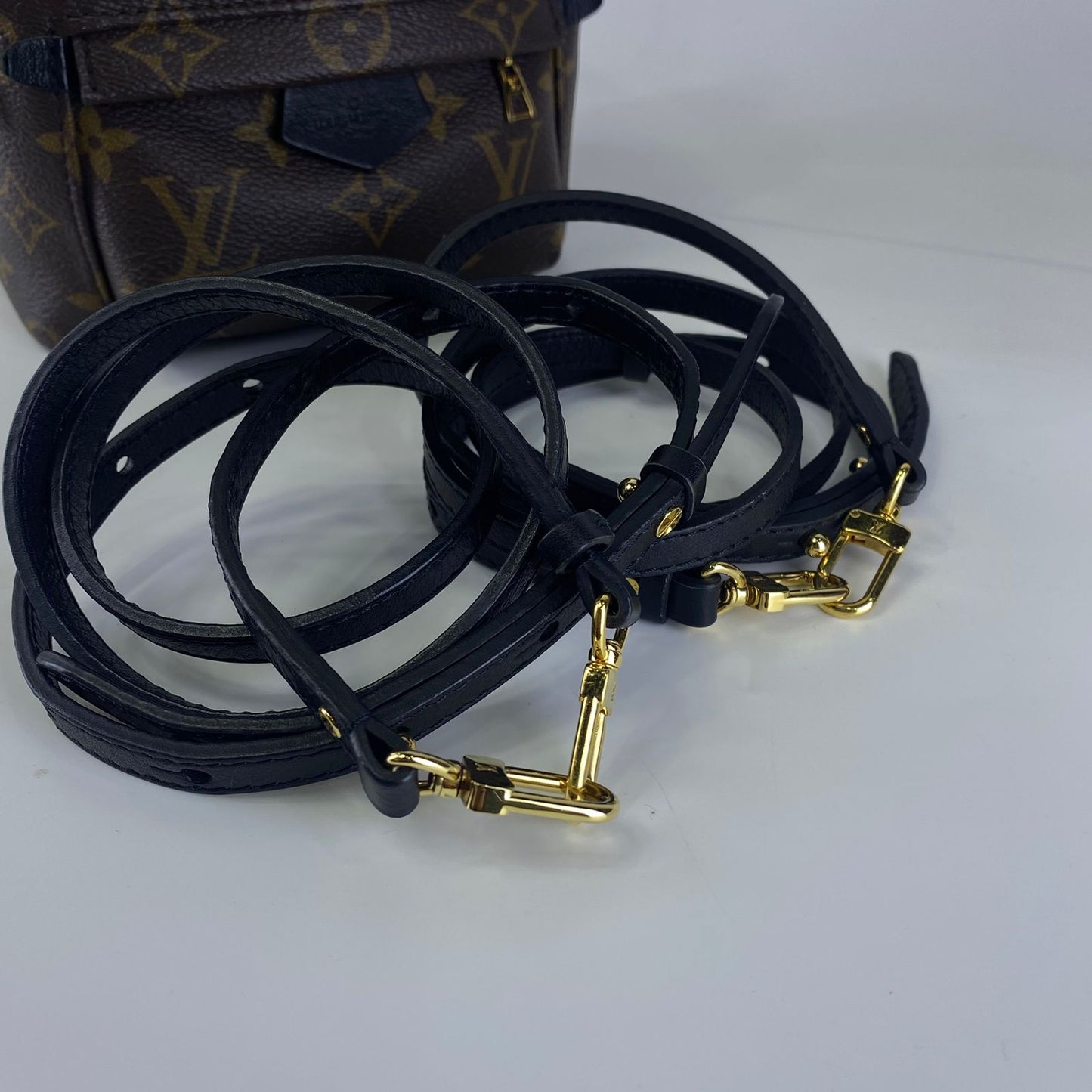 Louis Vuitton	Palm Springs Mini Backpack Monogram
