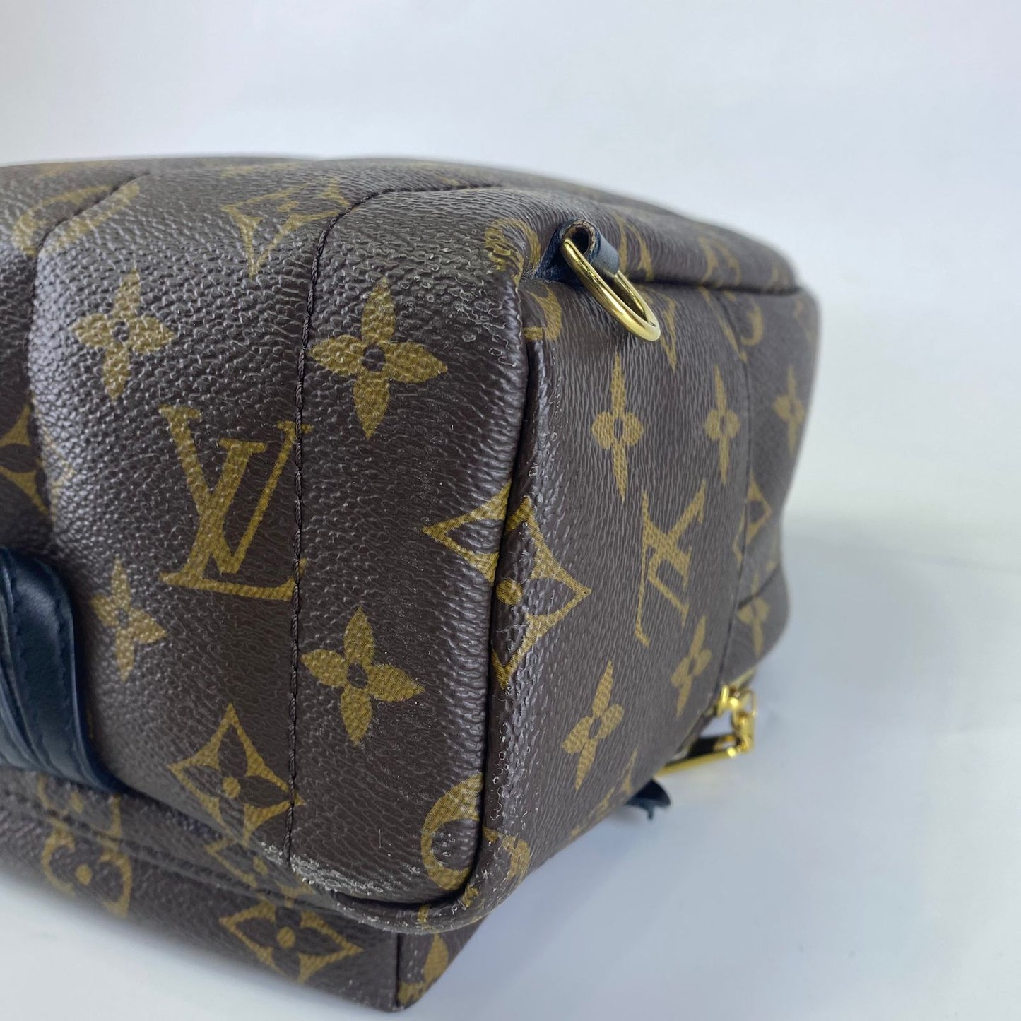 Louis Vuitton	Palm Springs Mini Backpack Monogram