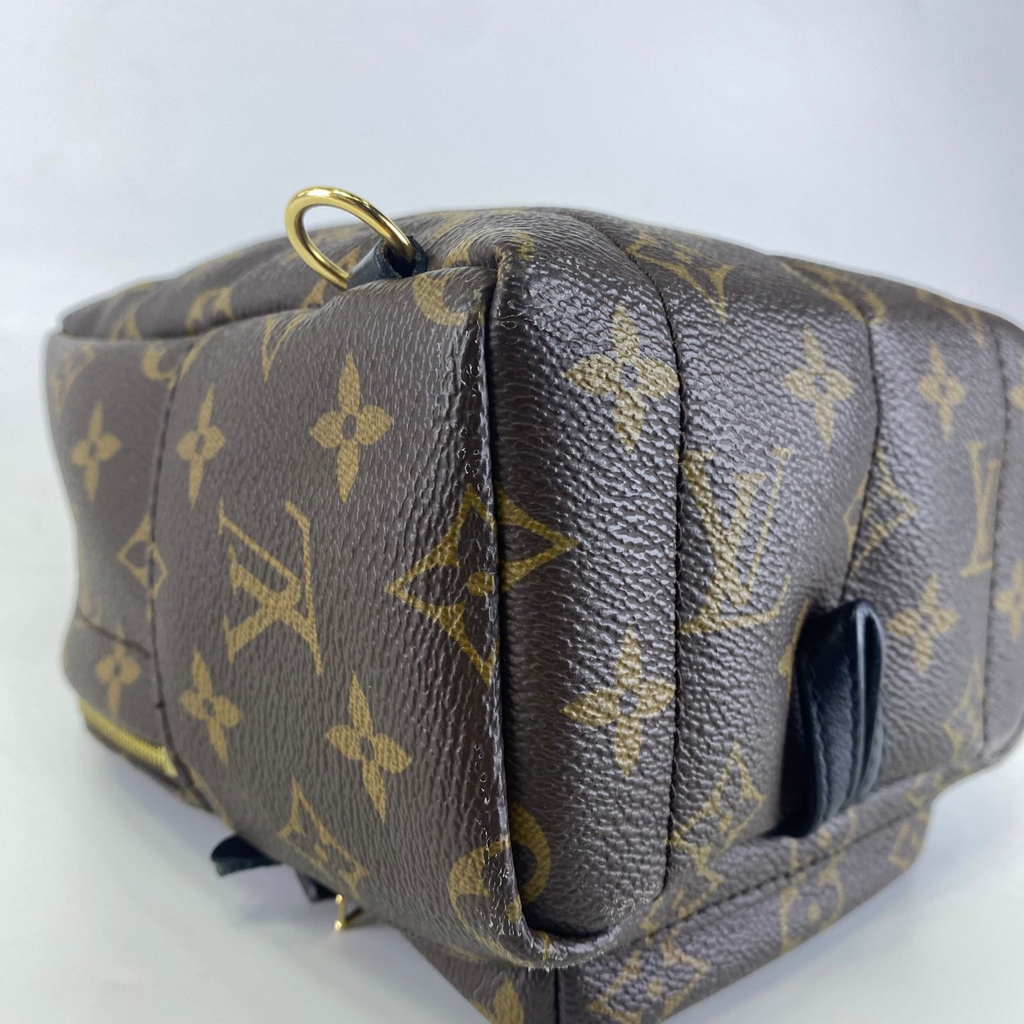 Louis Vuitton	Palm Springs Mini Backpack Monogram