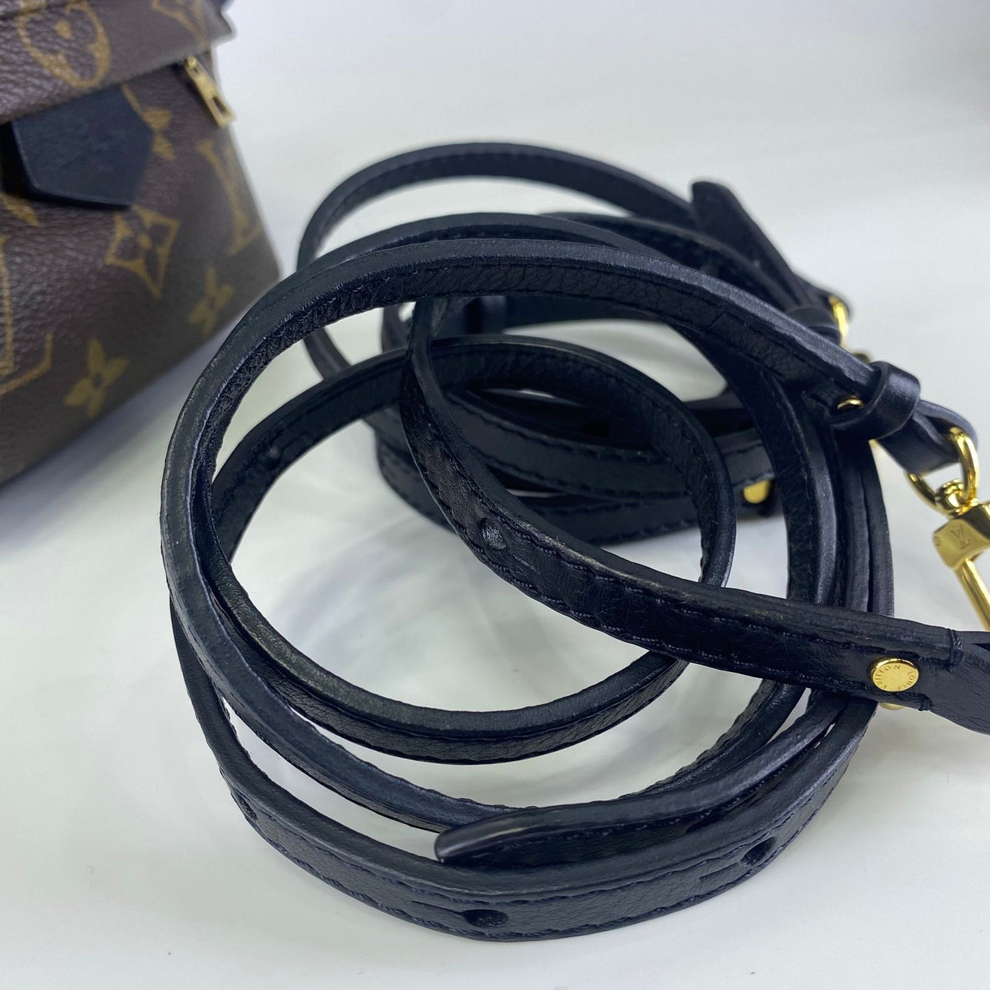 Louis Vuitton	Palm Springs Mini Backpack Monogram