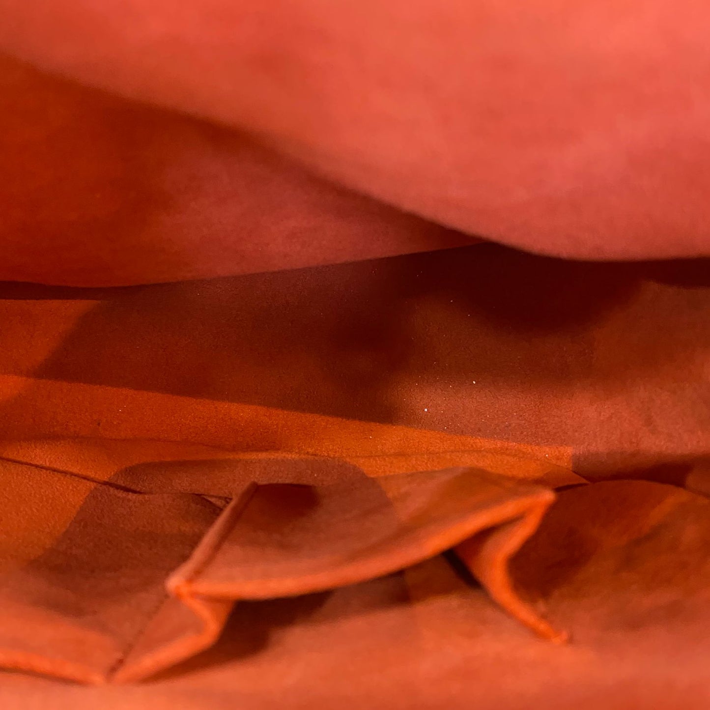 Louis Vuitton Parioli PM Tote Bag