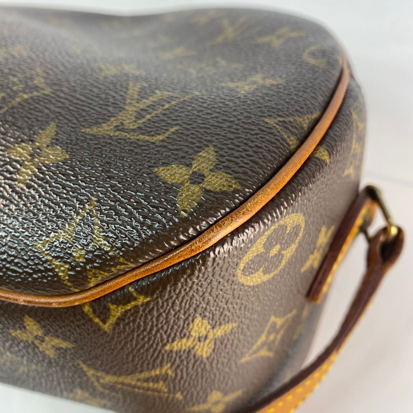 Louis Vuitton Blois Mono