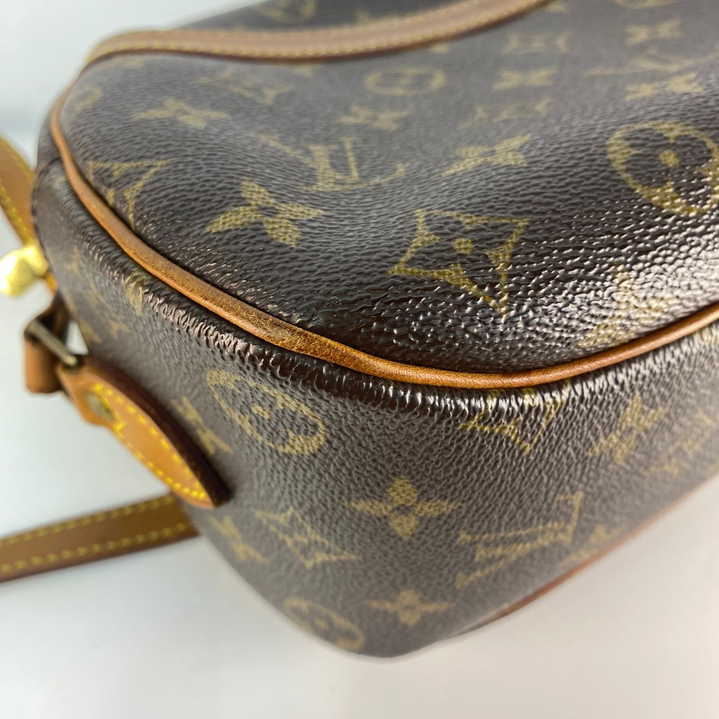 Louis Vuitton Blois Mono