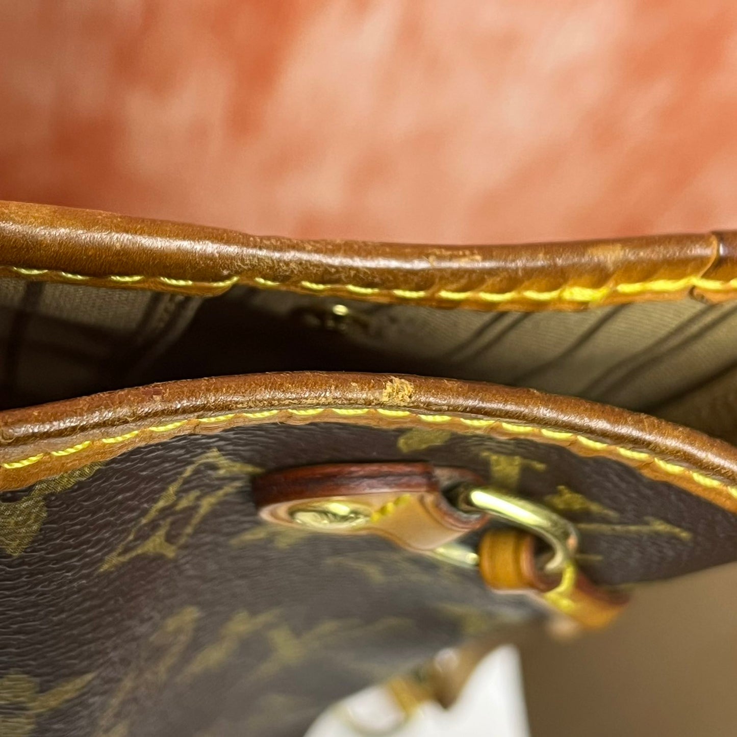 Louis Vuitton Neverfull PM Monogram